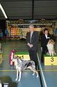 kerstshow 2008 024